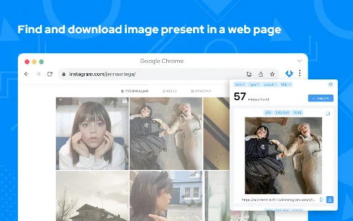 Image Downloader: Unduh Semua Gambar dari Web dengan Cepat - Screenshot 1