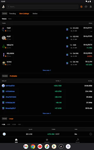 Download Birdeye Crypto Data Tool Terbaru – Pantau Memecoin & Wallet - Screenshot 16