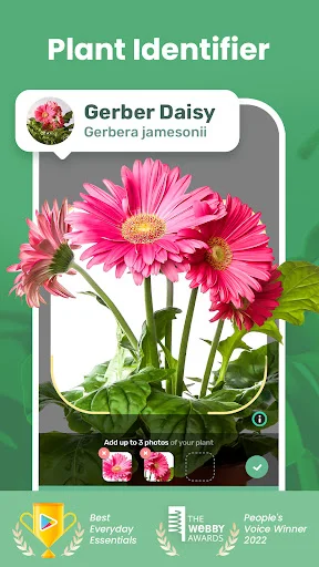 Download Blossom – Identifikasi Tanaman & Tips Perawatan Gratis - Screenshot 1