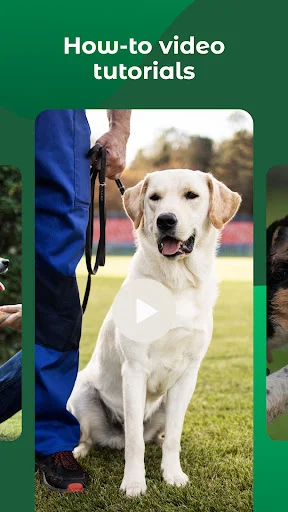 Download Dogo Terbaru – Pelatihan Anjing & Anak Anjing Terbaik - Screenshot 6