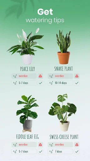 Download Blossom – Identifikasi Tanaman & Tips Perawatan Gratis - Screenshot 4