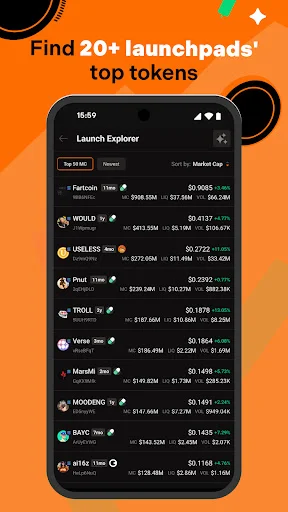 Download Birdeye Crypto Data Tool Terbaru – Pantau Memecoin & Wallet - Screenshot 4