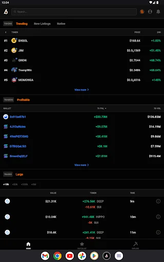 Download Birdeye Crypto Data Tool Terbaru – Pantau Memecoin & Wallet - Screenshot 9
