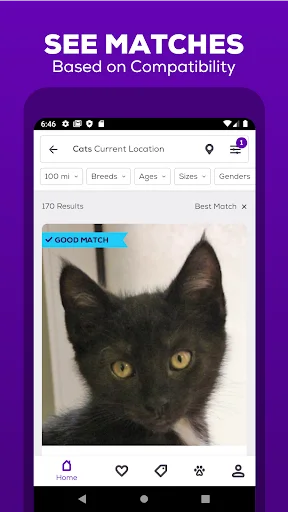 Download Petfinder – Adopt a Pet Terbaru – Temukan Teman Berbulu - Screenshot 2