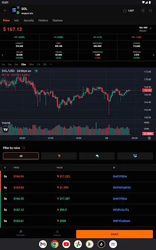 Download Birdeye Crypto Data Tool Terbaru – Pantau Memecoin & Wallet - Screenshot 12