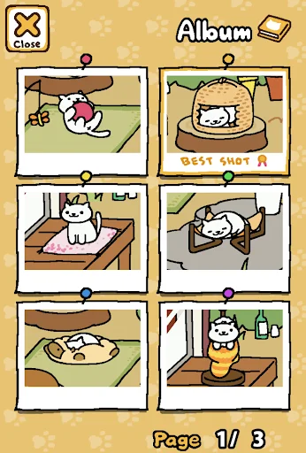 Download Neko Atsume: Kitty Collector Terbaru – Game Kucing Lucu - Screenshot 10