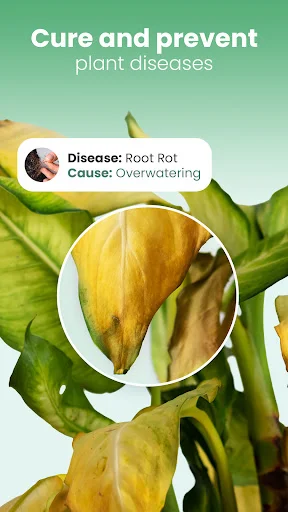 Download Blossom – Identifikasi Tanaman & Tips Perawatan Gratis - Screenshot 7