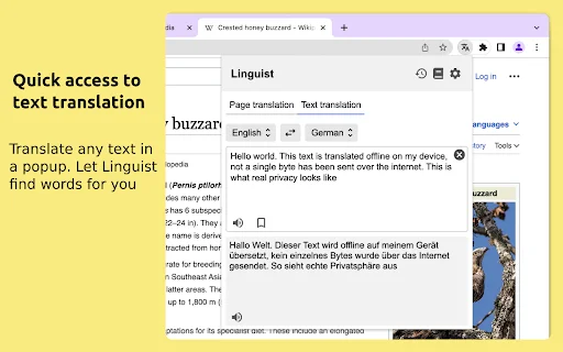 Linguist: Penerjemah Web & Teks Terbaik – Unduh Gratis Sekarang - Screenshot 3