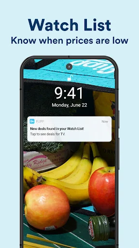 Download Flipp Terbaru – Hemat Belanja dengan Katalog Diskon - Screenshot 7