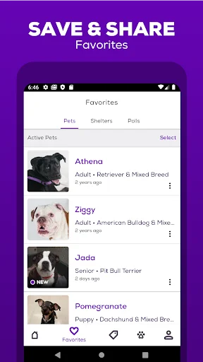 Download Petfinder – Adopt a Pet Terbaru – Temukan Teman Berbulu - Screenshot 4