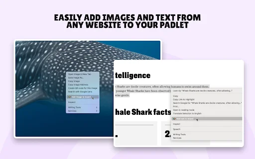 Download Padlet Mini Terbaru – Simpan Konten Web Lebih Mudah - Screenshot 3